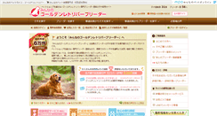 Desktop Screenshot of golden.min-breeder.com